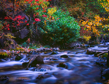 Load image into Gallery viewer, 2025 Calendar