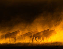 Load image into Gallery viewer, 2025 Calendar