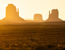 Load image into Gallery viewer, 2025 Calendar