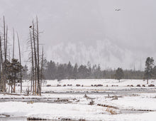 Load image into Gallery viewer, 2025 Calendar