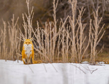 Load image into Gallery viewer, 2025 Calendar